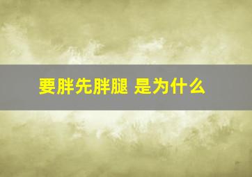 要胖先胖腿 是为什么